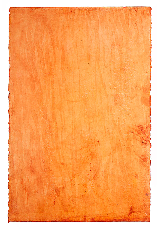 ACHIOTE papel 02.jpg